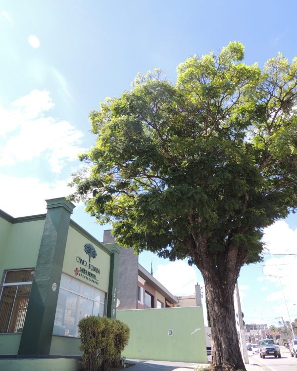 WhatsApp Image 2026-01-12 at 09.49.26